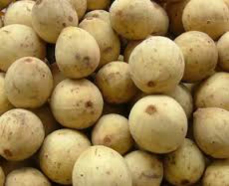 duku