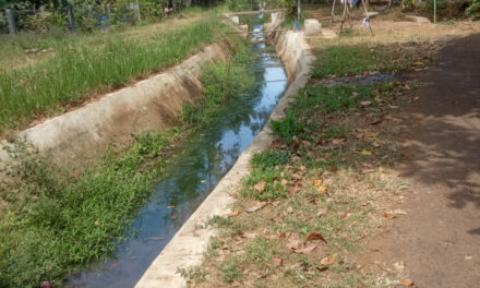 Irigasi Kering 9 Bulan, Petani Mengeluh