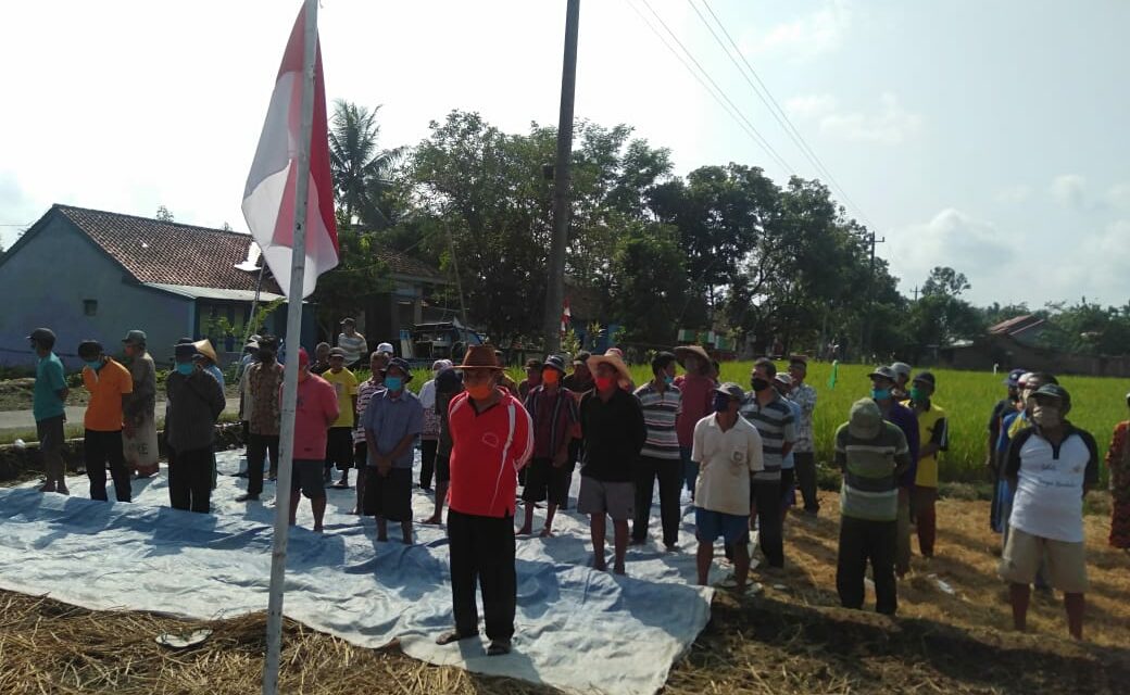 Petani Kubang Manis Peringati HUT RI di Pinggiran Sawah