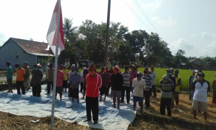 Petani Kubang Manis Peringati HUT RI di Pinggiran Sawah